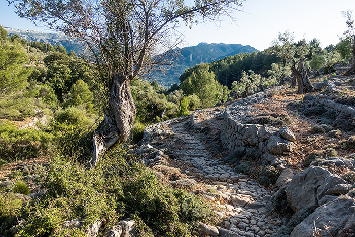 Hiking, Sóller, Mallorca