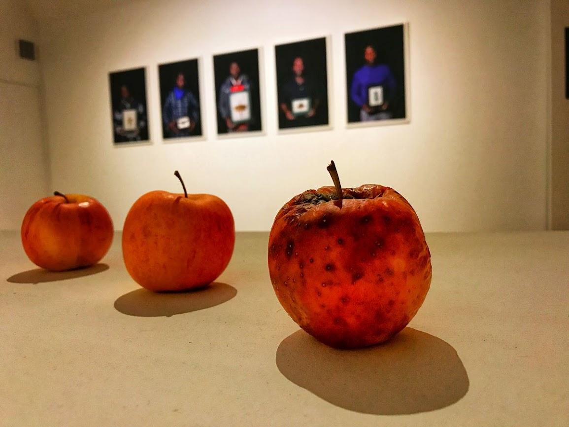 valetta malta st james cavalier museum patrick j fenech exhibition apples