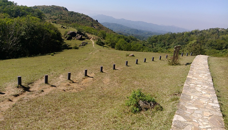 石龍拱草地