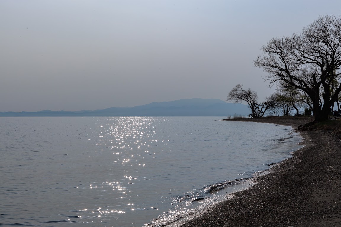 滋賀県高島市の桜スポット4選│ドローン写真で紹介