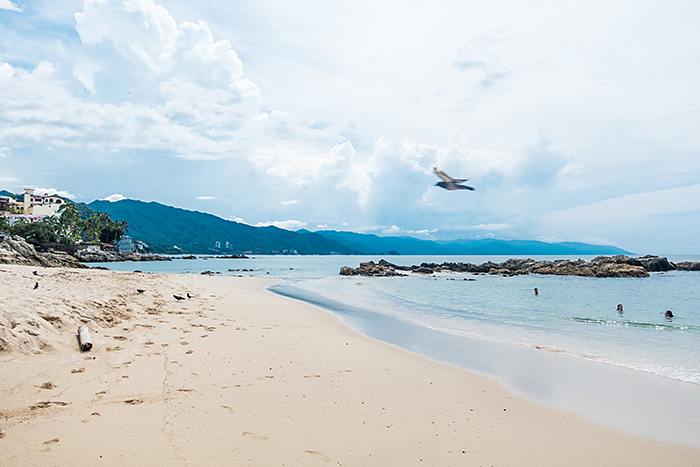 Plaje, Puerto Vallarta