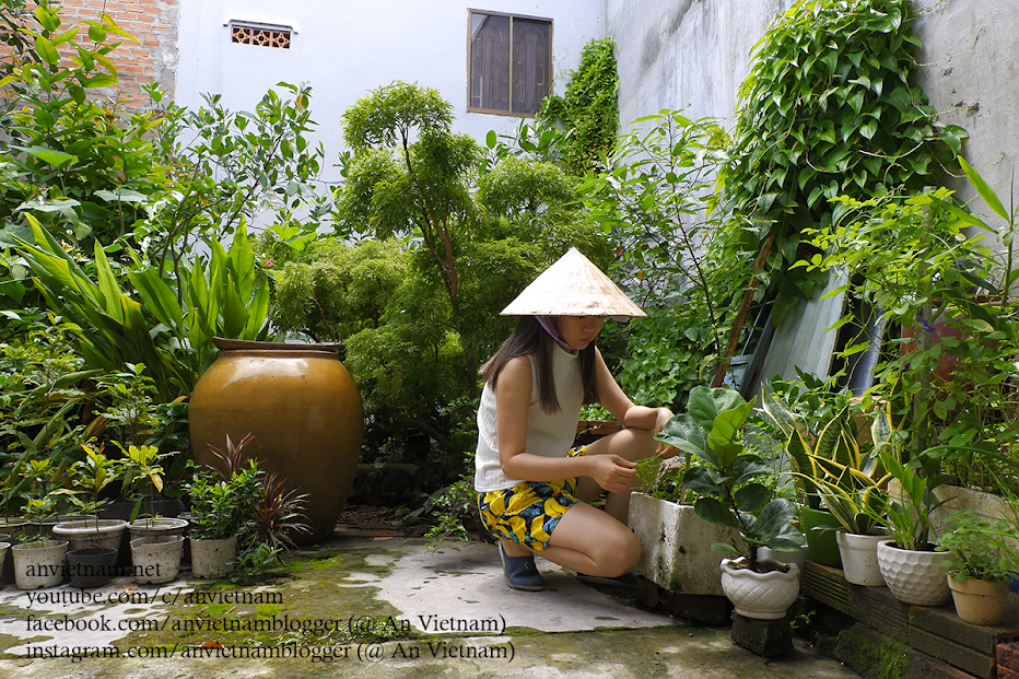 “Góc sân và khoảng trời”