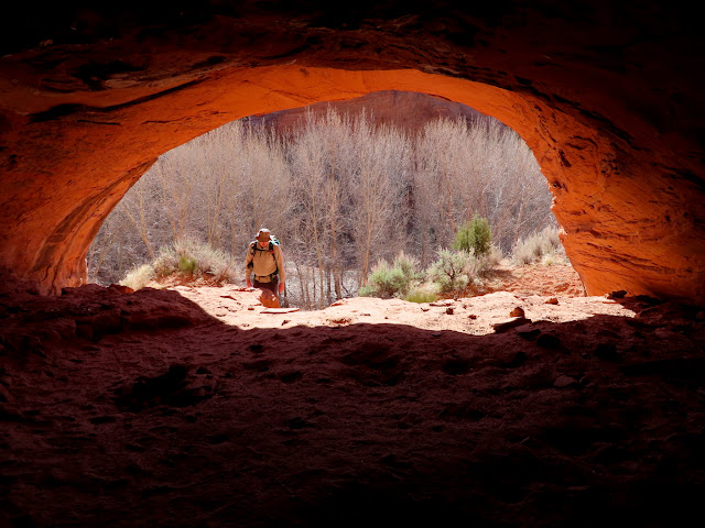 Looking out of the alcove