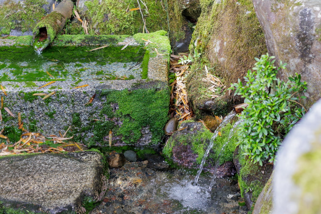 高島の湧き水　秋葉の水