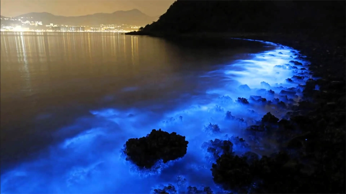 Banho azul no Lago Gippsland, Austrália