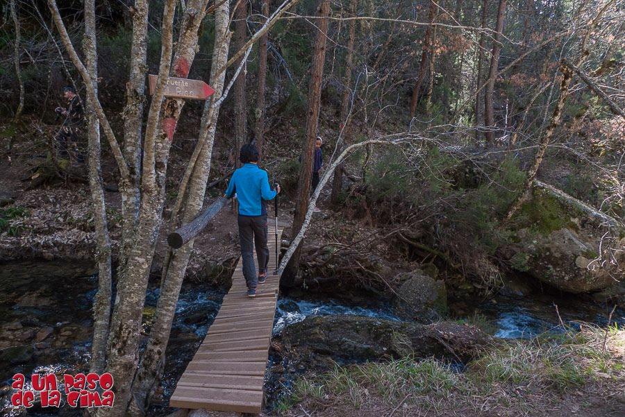 Pasarela hacia la Fuente del Pico, en la Ruta de las Cascadas de Covaleda.