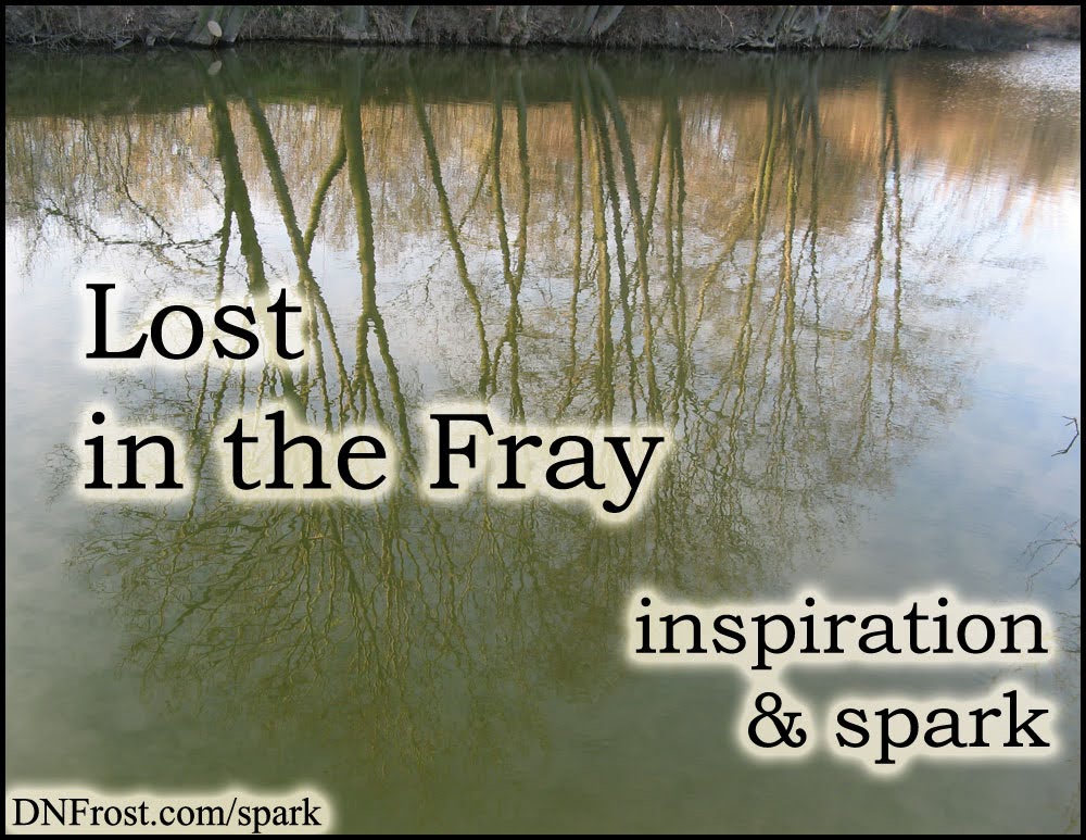 Lost in the Fray: how I lost myself in gaming www.DNFrost.com/spark #TotKW Inspiration and spark by D.N.Frost @DNFrost13 Part 3 of a series.