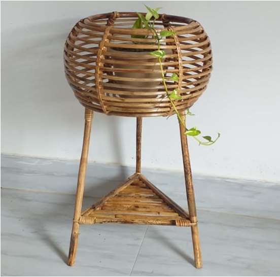 Cane Planter