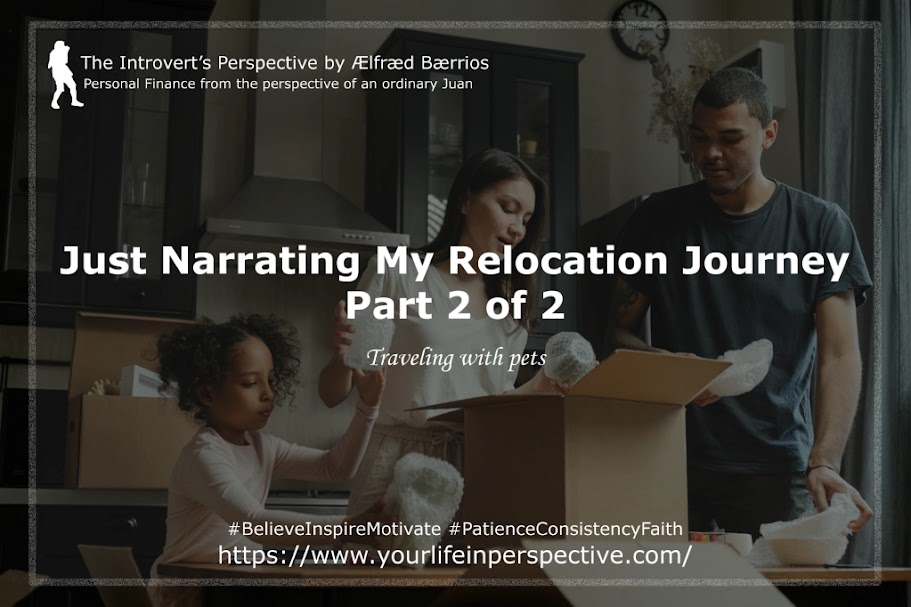 Just Narrating My Relocation Journey Part 2 of 2: Transferring with Pets