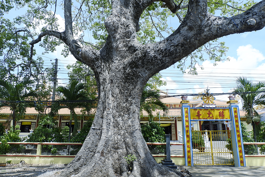 Chơi gì ở Long An? Long An có gì hay?