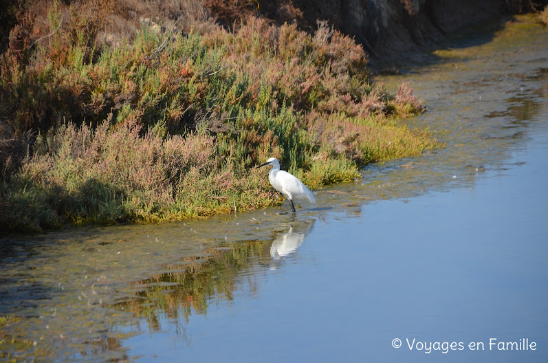 Ludo Trail, ile de Faro