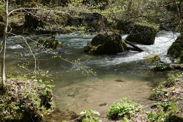 十和田湖および奥入瀬渓流