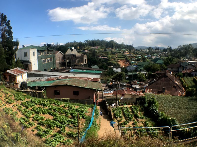 Nuwara Eliya's surroundings