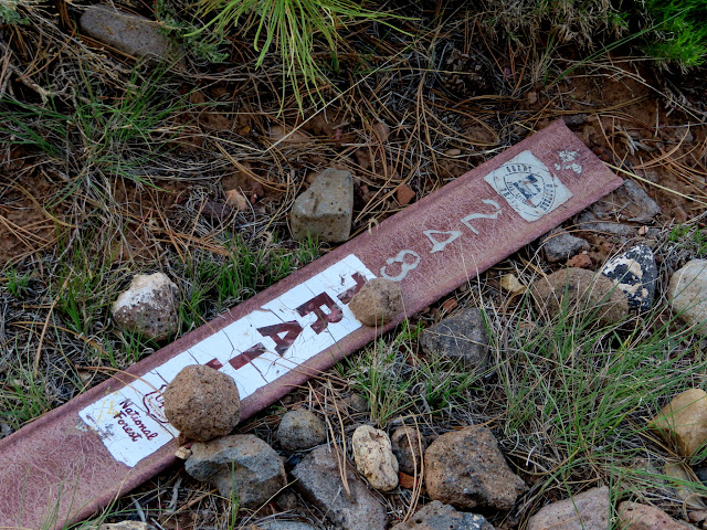 Downed trail sign