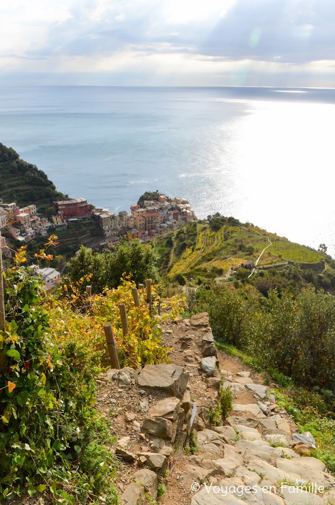 Manarola