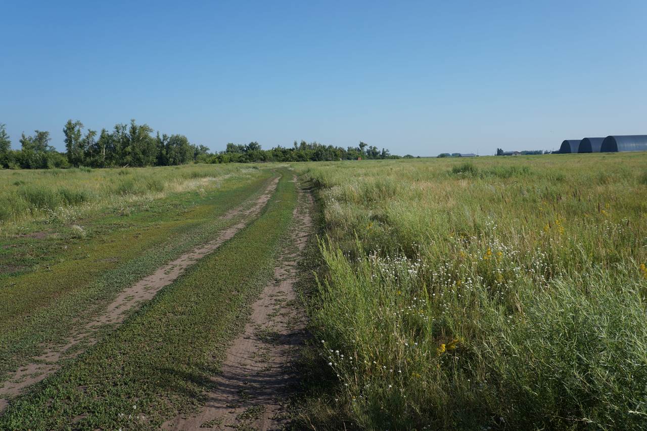 Хабарский район село хабары. Нечаевка Алтайский край. Нечаевка Алтайский край Хабарский район. Поселок Калиновка Алтайский край. Алтайский край Хабарский район село Свердловское.