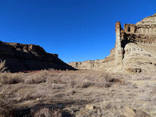 View up Nine Mile Creek