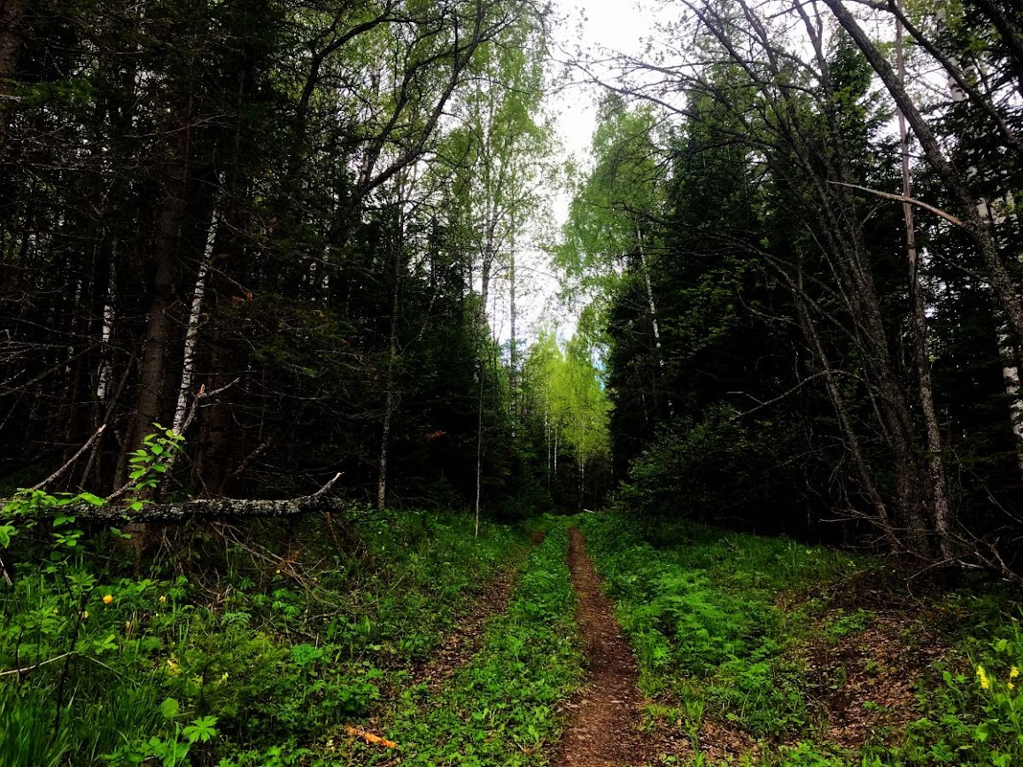 The first part of the trail to Uvan Mountain zyuratkul national park