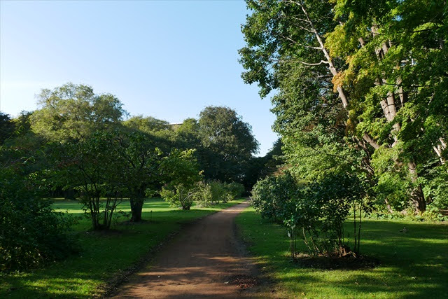 北海道大学 植物園