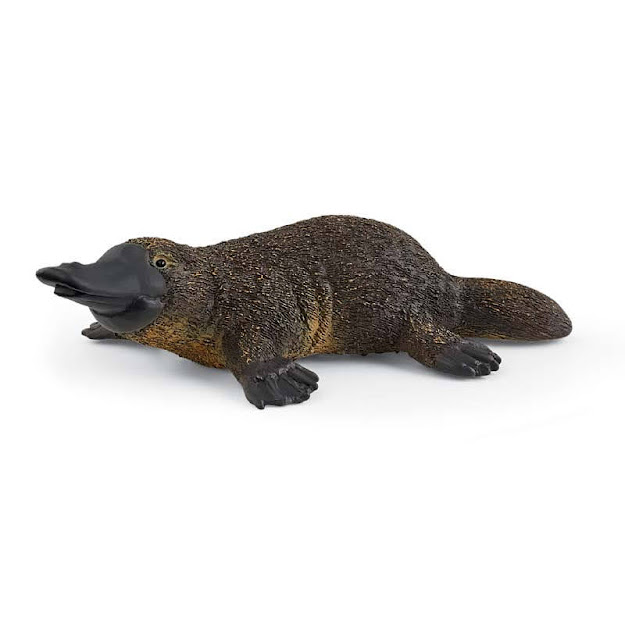 Contenido de Schleich® 14840 Ornitorrinco