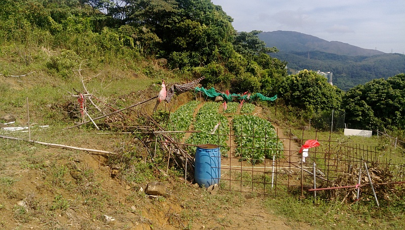 村屋田地