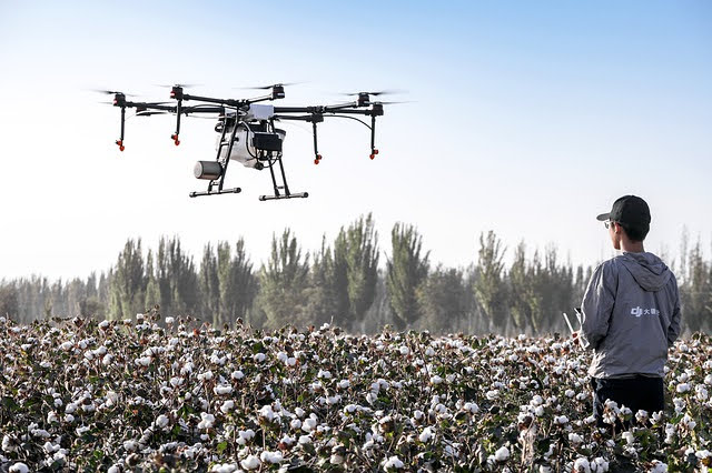 Startup agricola - Photo credit: Foto di DJI-Agras da Pixabay 