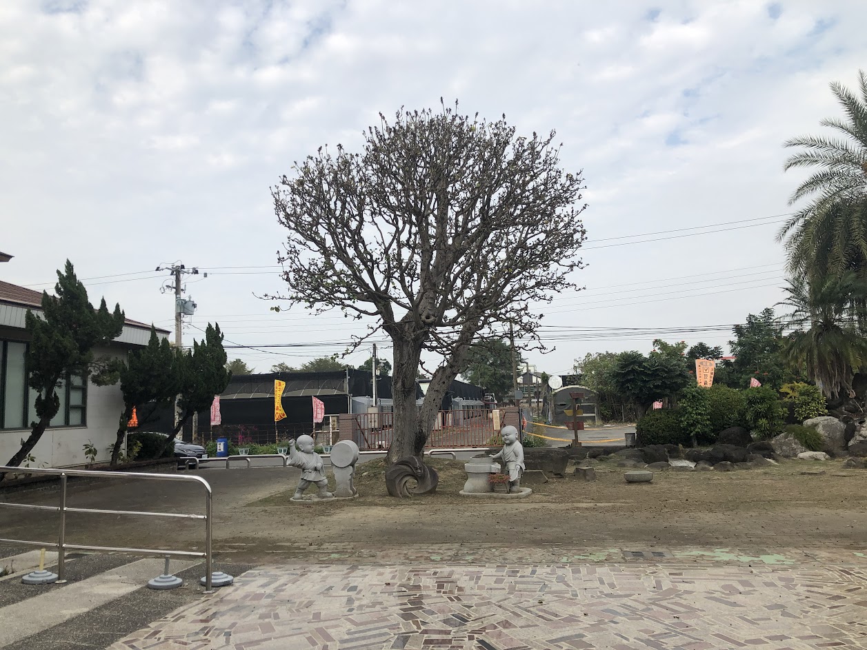 ［嘉義水上］南靖糖廠休閒賣場~位於南靖火車站對面，園區內很多