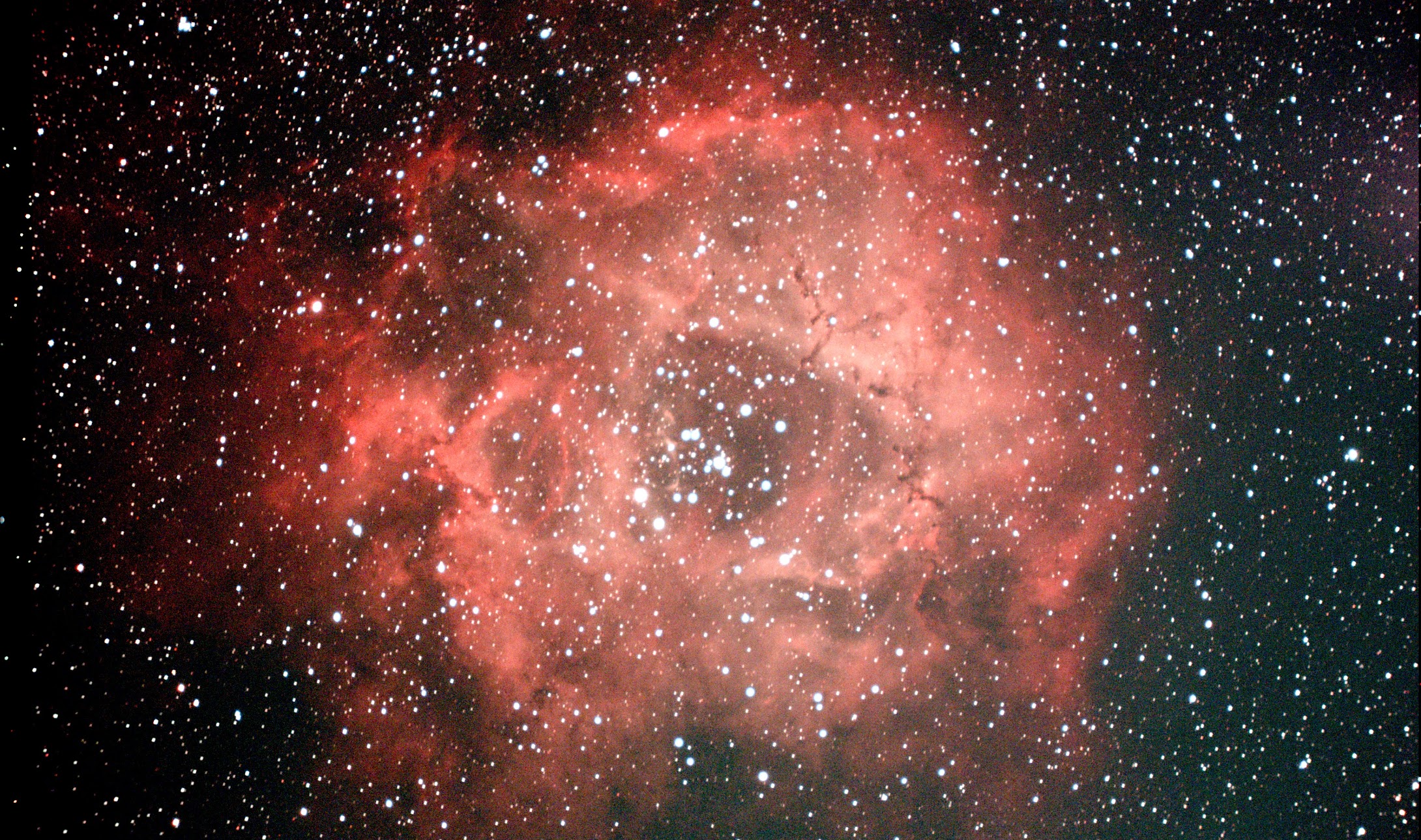 【電視観望】バラ星雲（NGC 2237）Sky Explorer SE102直焦点撮影