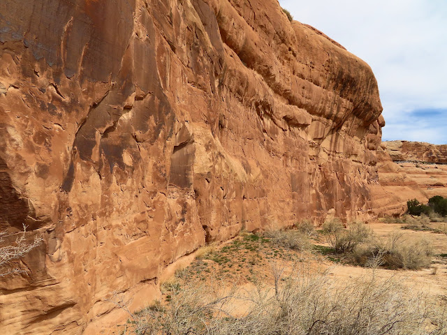 A promising wall in a side canyon