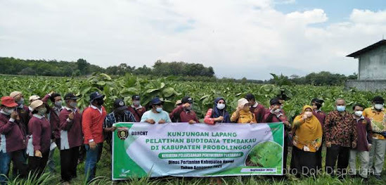 Pabrik rokok Di Ngawi