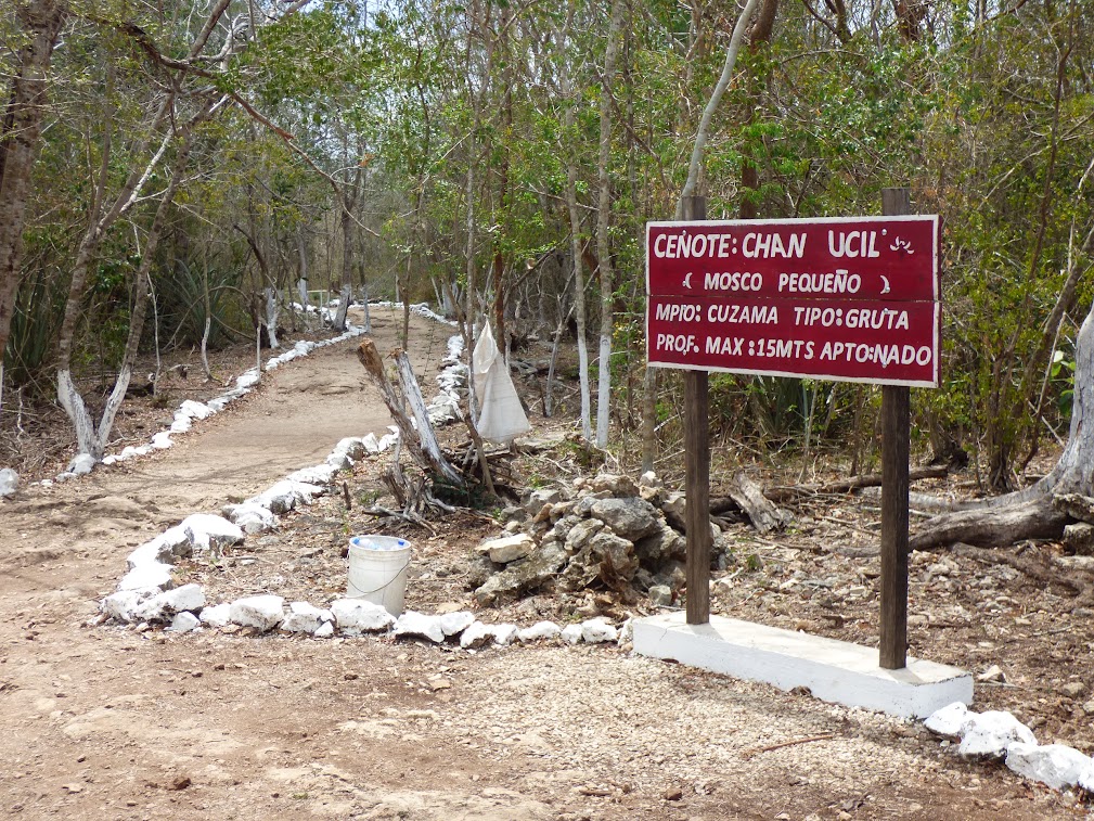 cenotes cuzama