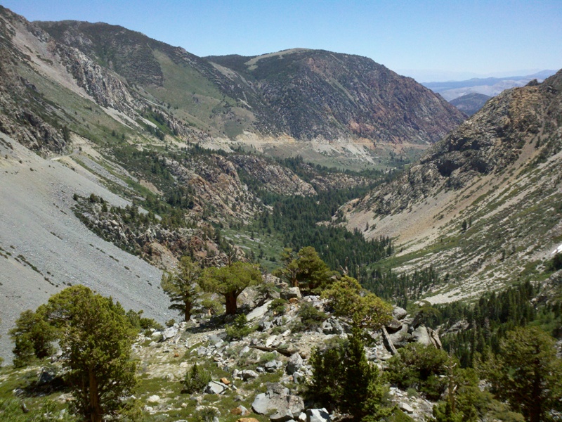 Eastern Sierra • Tioga Pass East