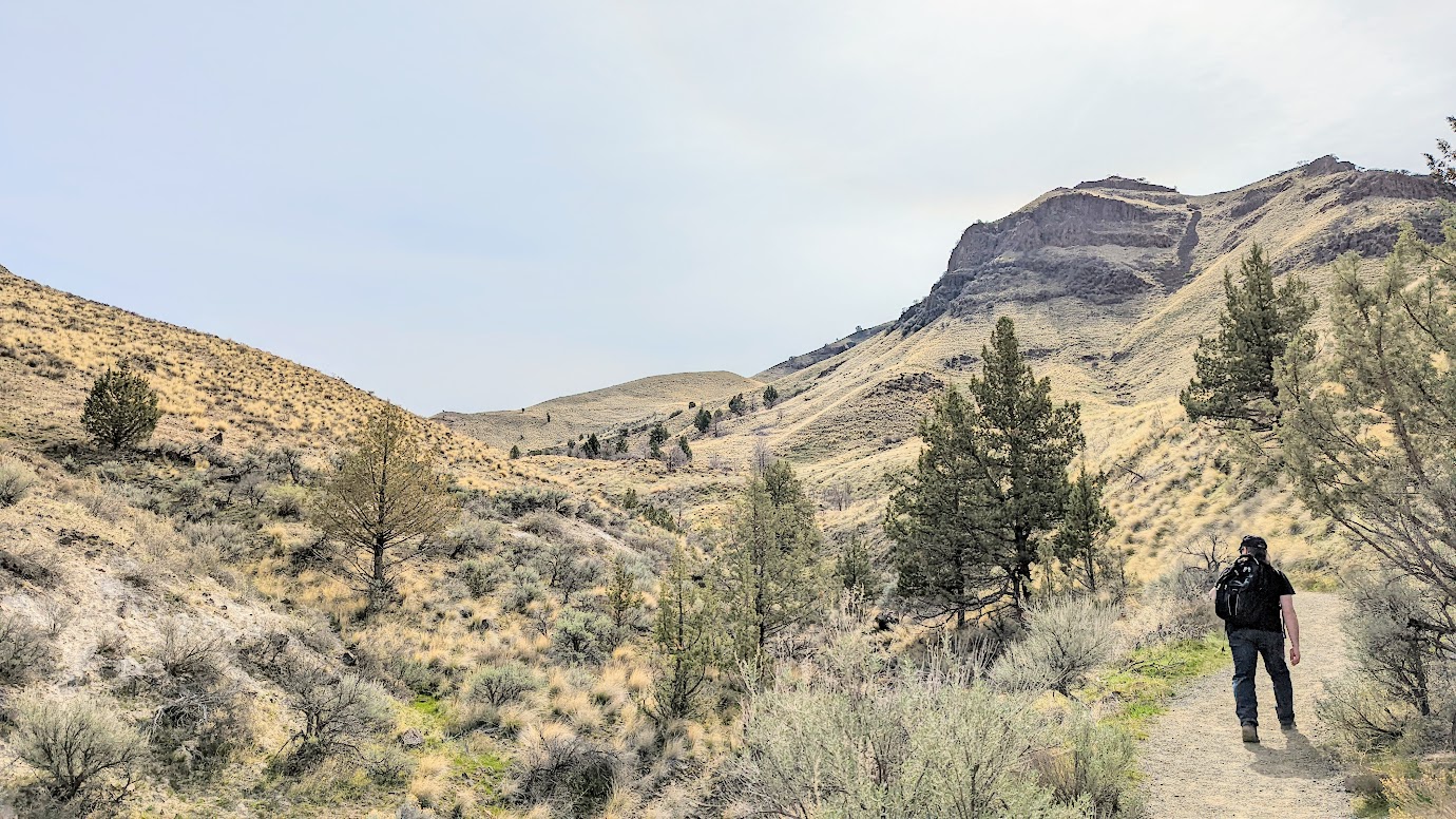 Visiting the Clarno Unit and Sheep Rock Unit - at Sheep Rock Unit, the Blue Basin is probably the most famous area, where you can find the two hikes of Blue Basin Overlook to look from above down into the canyon, and Island in Time which takes you walking straight into the heart of the the Blue Basin gorge