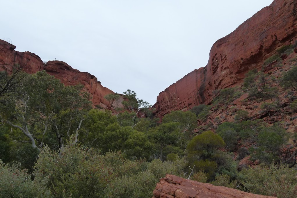 Kings Canyon