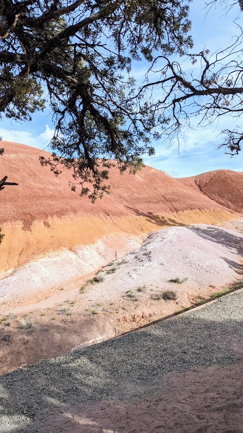 Guide to Visiting the Painted Hills - visiting the Painted Cove trail area gives you up close look at the colors of the soil making up the Painted Hills