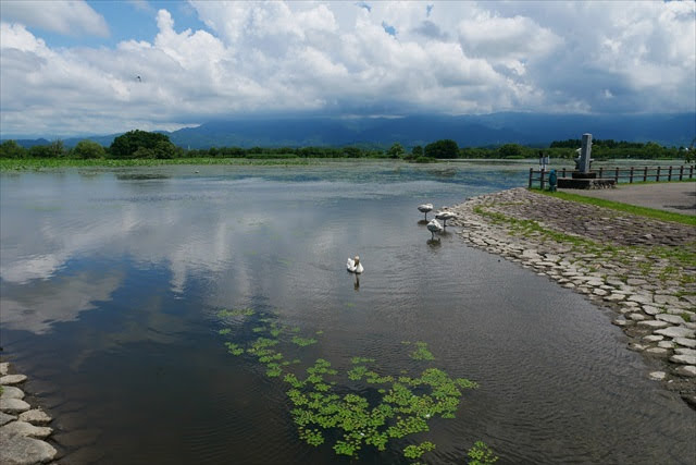 瓢湖