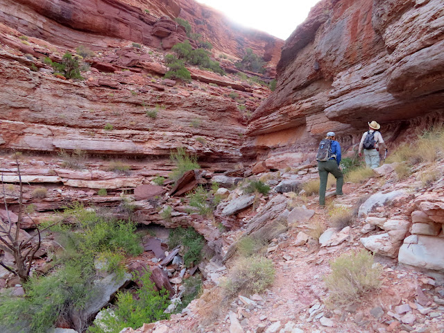 Approaching the crux of the burned cabin hike