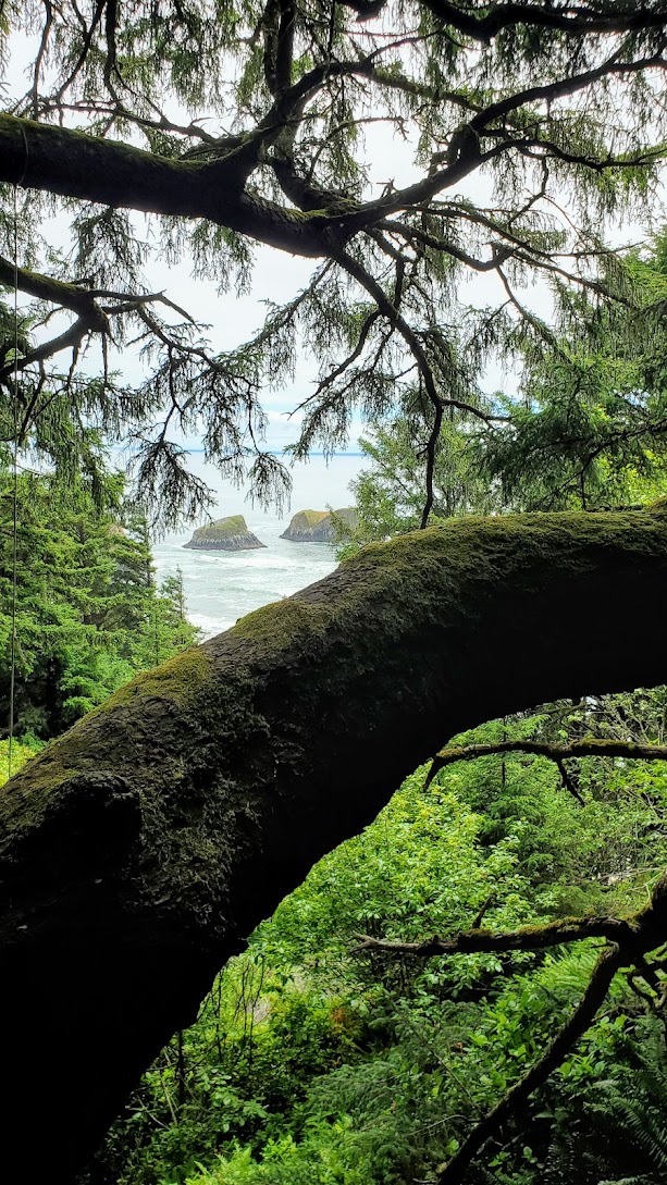 Ecola State Park in Cannon Beach - Crescent Beach Trail and Beach