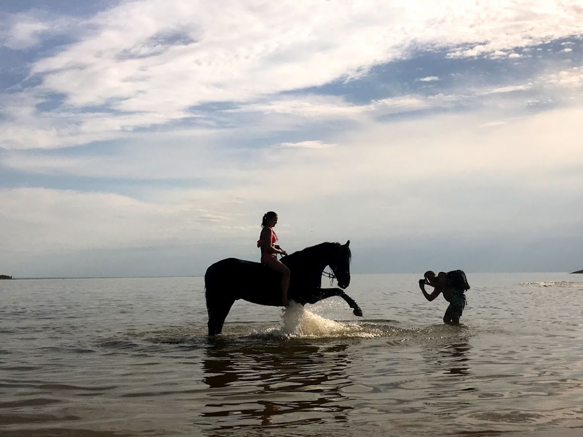 A horse having a dip in the sea of ob novosibirsk 