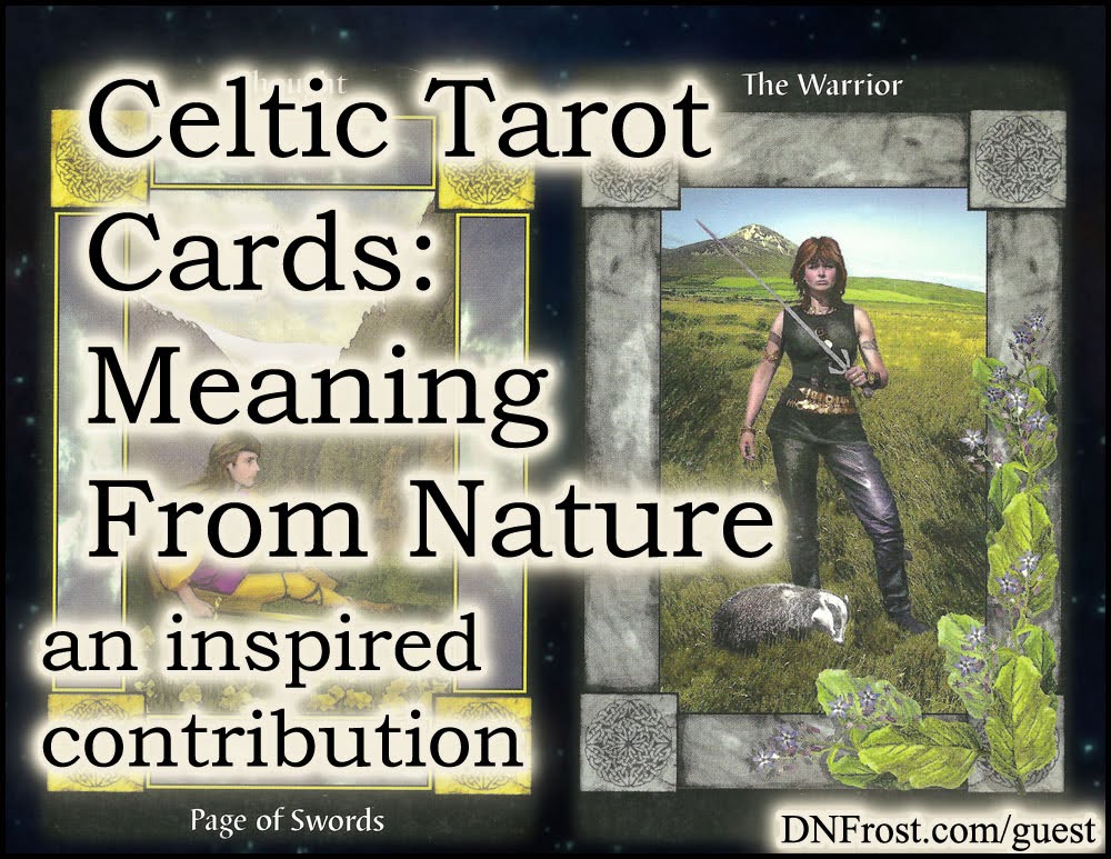 Celtic Tarot Cards, Meaning from Nature: arcane symbols of the ancient Celts for Linnea Tanner www.DNFrost.com/guest An inspired contribution by D.N.Frost Part 2 of a series.