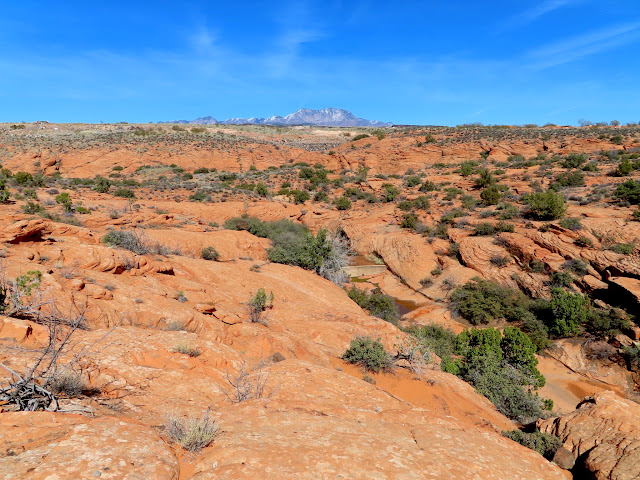 Pine Valley Mountains above a small dam