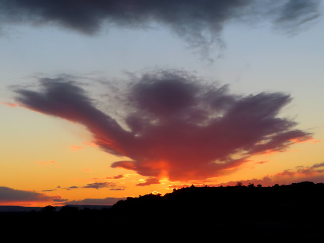 Pink clouds after sunset