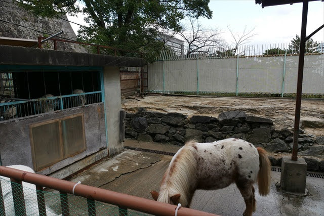 和歌山城公園動物園