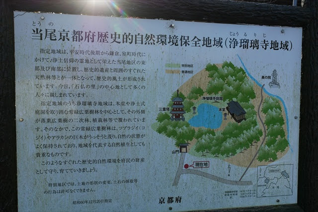 浄瑠璃寺庭園