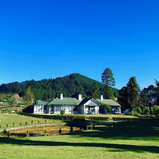 Oliphant Tea Estate