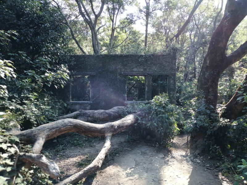 蓮花山學校