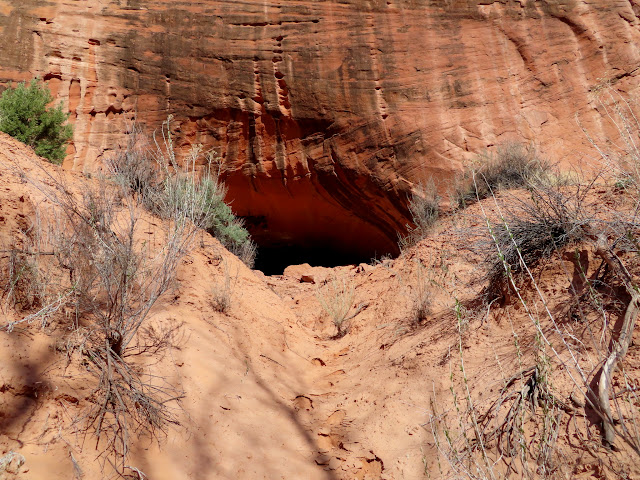 Alcove above the Gulch