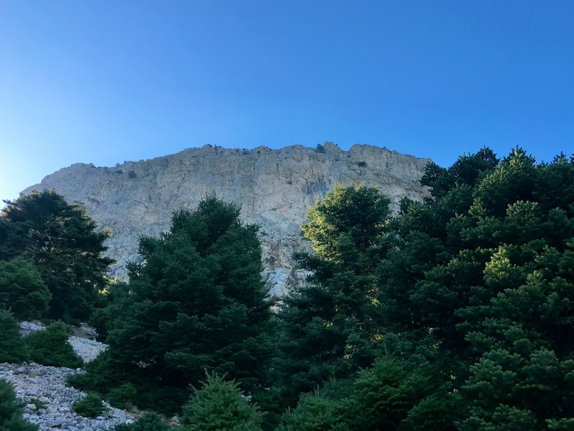 impressive view of mount artemision rocky summit after fir forest