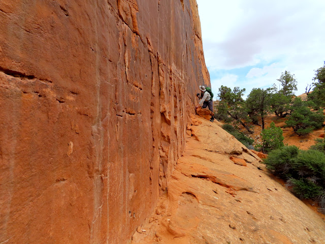 Chris checking out some petroglyphs