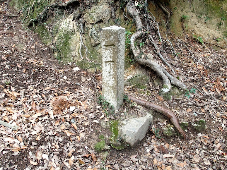 写真iimg3535
